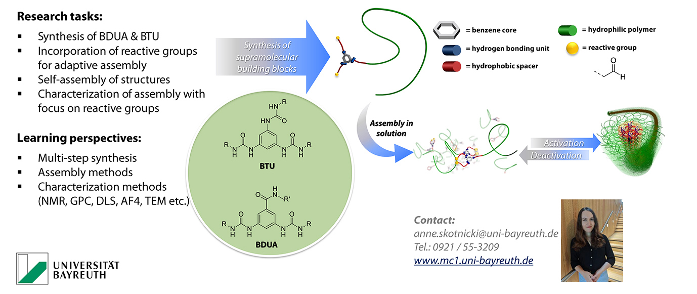 Synthesis and assembly