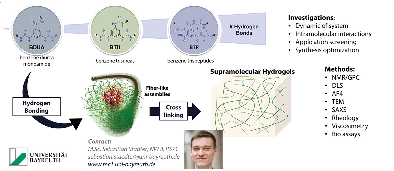 Supramolecular assemblies